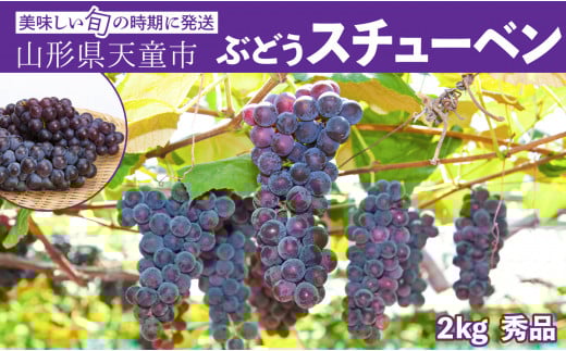 08-06-006　ぶどう(スチューベン)2kg