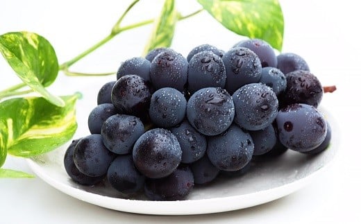 08-08-020　ぶどう(種なしピオーネ)2kg