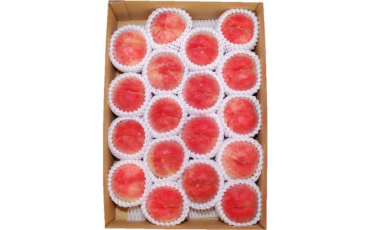 08-02-019　もも(9月旬の白桃)5kg