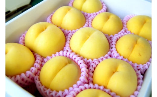 08-10-019　もも(きららの極み)3kg