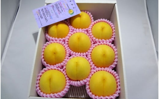 08-07-010　もも(金桃・黄貴妃)3kg