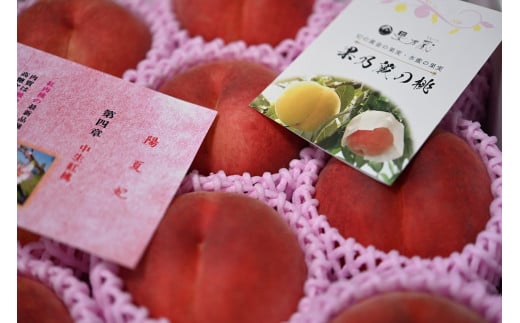 08-07-003　もも(陽夏妃)3kg