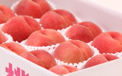 08-08-012　もも(あかつき)3kg