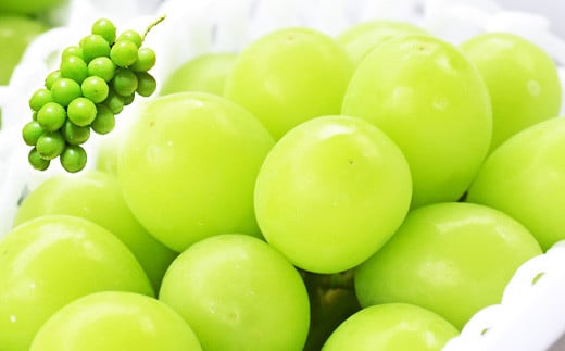 08-10-010　ぶどう(シャインマスカット)1房