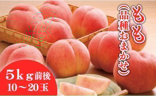 08-01-032　もも(品種おまかせ)5kg