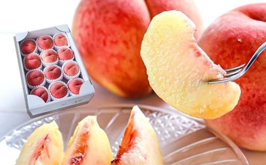 08-10-023　白桃(品種おまかせ) 3kg