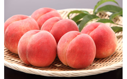 08-08-004　8月品種おまかせ白桃 3kg