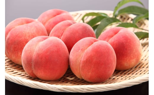 08-08-009　9月品種おまかせ白桃 3kg