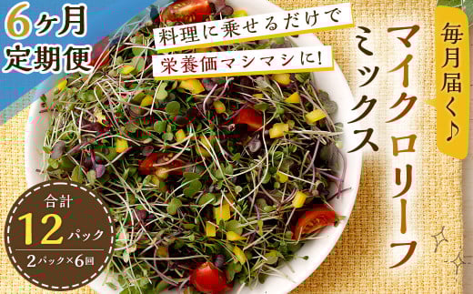 【6回定期便】 マイクロリーフミックス 1回あたり約140g（70g×2個）合計 約840g サラダ 野菜 大分県 九重町産 定期便