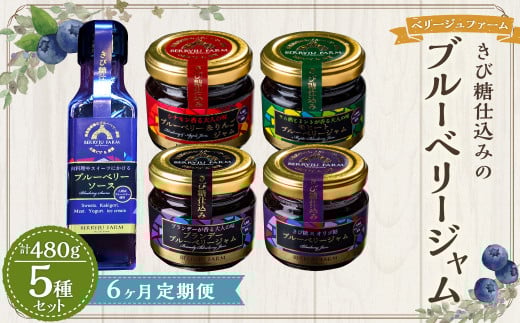 【6ヶ月定期便】きび糖 仕込みの ブルーベリー ジャム 5種 セット 各90g×1瓶 ブルーベリージャム りんごジャム 瓶詰め 瓶