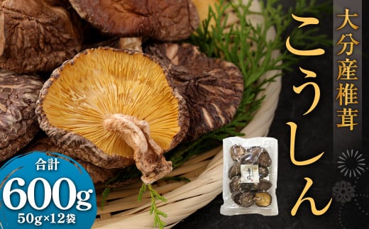 大分産椎茸こうしん 約600g（約50g×12袋） 干し椎茸 大分 原木 椎茸 乾燥 常温