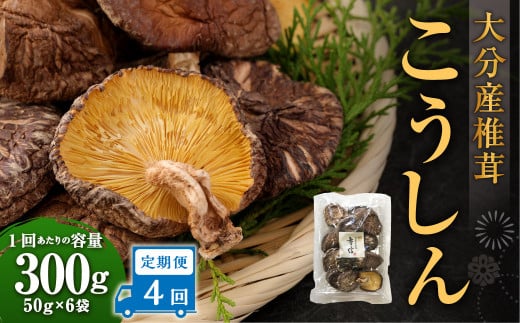 【4ヶ月定期便】大分産椎茸こうしん 300g（50g×6袋）合計1,200g 24袋 乾燥椎茸 乾燥 しいたけ 干し椎茸 乾し椎茸 乾燥野菜 原木こうしん 大分県 九重町