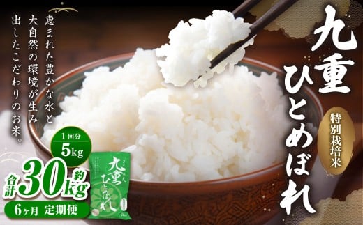 【6ヵ月定期便】 九重 ひとめぼれ 5kg×6回 計30kg 米 こめ コメ お米 精米 ご飯 ごはん 常温 国産