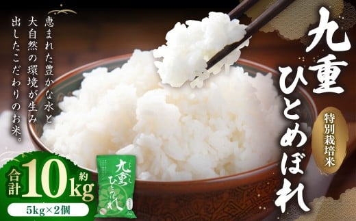 九重 ひとめぼれ 10kg （5kg×2袋） 【2025年11月上旬発送開始予定】 米 こめ コメ お米 精米 ご飯 ごはん 常温 国産