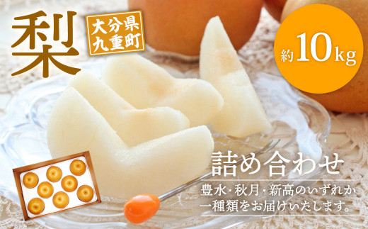 大分県 九重町産 梨 詰め合わせ 約10kg 【2025年8月下旬-10月下旬発送予定】