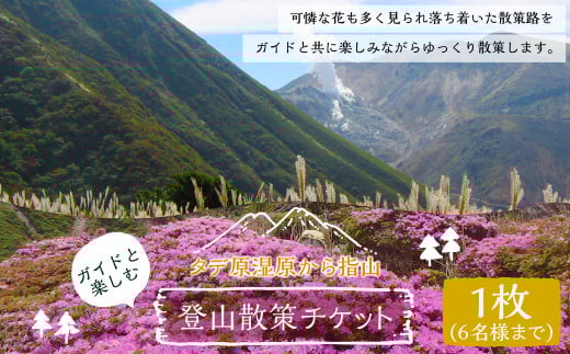 ガイドと楽しむタデ原湿原から指山 登山散策チケット 1枚6名様まで