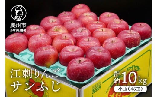 【数量限定】江刺りんご サンふじ 小玉 10kg（46玉）【令和8年1月お届け】 フルーツ 林檎 期間限定 [AQ028]