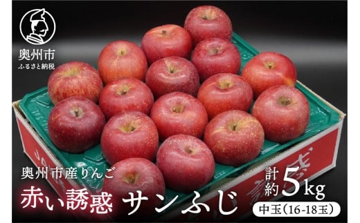 奥州市産りんご 赤い誘惑「サンふじ」 中玉約5kg 16-18玉 優品 フルーツ 果物 1箱 [AQ077]