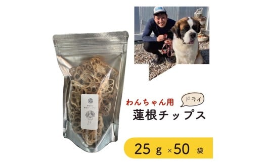 無添加・無塩　わんちゃん用乾燥蓮根チップス２５g　５０袋セット