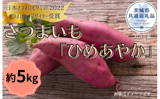 【2025年産】さつまいも「ひめあやか」約5kg（茨城県共通返礼品／行方市産）