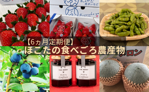【6ヵ月定期便】ほこたの食べごろ農産物（いちご／いちご／ブルーベリー／メロン／枝豆／ブルーベリージャム）