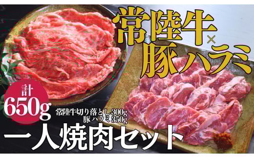 【超堪能!】常陸牛(300g)×豚ハラミ(350g) 一人焼肉セット
