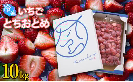 冷凍いちご とちおとめ 選べる 10kg 国産 完熟 おやつ ジャム スムージー ヨーグルト シェイク