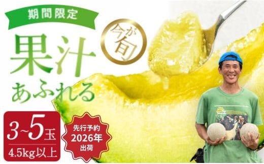 【来年2026年】先行予約!ジューシーな果汁たっぷりメロン \生産量日本一の実力!/ 旬の イバラキング メロン 3~5玉 合計4.5kg以上|茨城県 鉾田市産 めろん 方波見農園 《安心安全栽培》上品な甘さ 絶品 産地直送 青肉 高級 おすすめ 人気 BMW農法 ジューシー 旬 大きい 甘い 国産 フルーツ 果物 ギフト プレゼント 贈り物