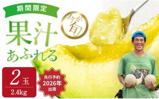 【来年2026年】先行予約!ジューシーな果汁たっぷりメロン \生産量日本一の実力!/ 旬の イバラキング メロン 1.2kg×2玉|茨城県 鉾田市産 めろん 方波見農園 《安心安全栽培》上品な甘さ 絶品 産地直送 青肉 高級 おすすめ 人気 BMW農法 ジューシー 旬 大きい 甘い 国産 フルーツ 果物 ギフト プレゼント 贈り物