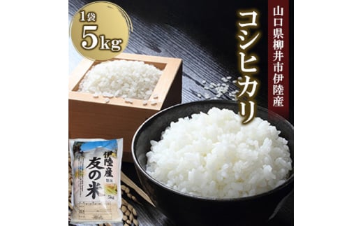 水稲うるち精米 5kg【1573891】