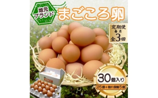 <毎月定期便>「地元ブランド」まごころ卵30個入り(卵25個と割れ保障5個) 鶏卵(生食用)全3回【4070038】