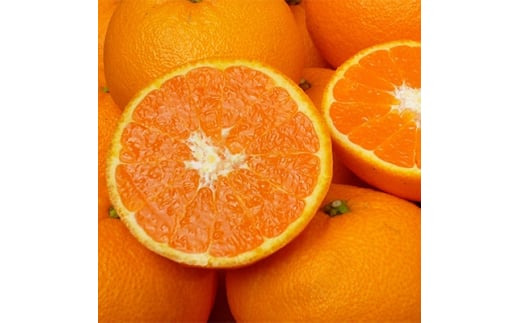 <山口県ブランド>瀬戸内の春みかん せとみ 20玉~24玉(約4.5kg)_ みかん せとみ 柑橘 果物 くだもの フルーツ 瀬戸内 山口県 ブランド オリジナル品種 甘い 糖度 人気 おすすめ お取り寄せ 送料無料 【1007405】