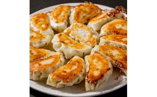 餃三郎のアグー豚餃子 24個【1417004】