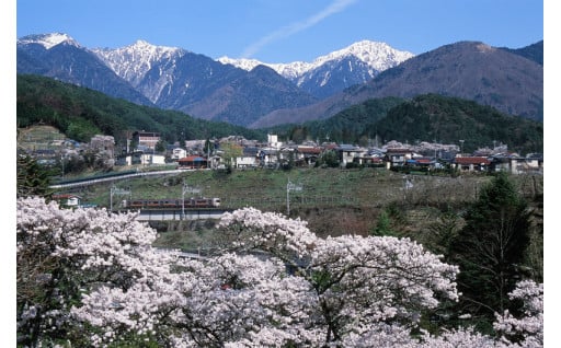 移住支援や住宅環境整備に関する事業