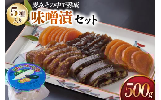 味噌漬け 詰め合わせ 田舎味噌漬け 5種 500g [大渡商店 長崎県 東彼杵町 hs42bag590009] 味噌 みそ ミソ みそ漬け 手作り ご飯のお供 漬物 漬け物