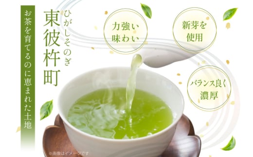 そのぎ茶 長崎 そのぎ茶 山霧 80g 3袋 [茶友 長崎県 東彼杵町