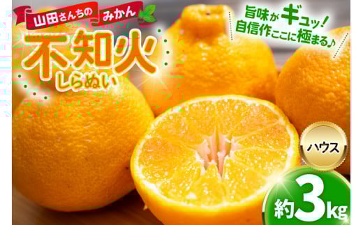 【期間限定発送】【先行予約50個限定】 みかん 山田さんちのハウス不知火(しらぬい) 約3kg [長崎県 東彼杵町 hs42bag330000] 果物 柑橘 国産 長崎県産 東彼杵 数量限定