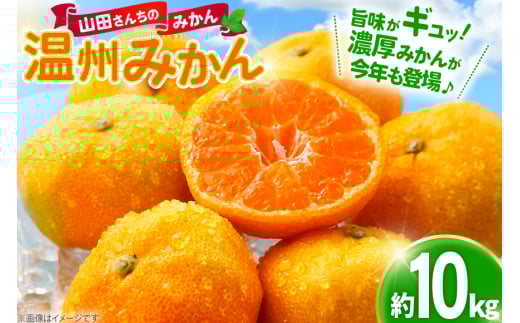 【期間限定発送】 【先行予約100個限定】みかん 温州みかん 10kg [長崎県 東彼杵町 hs42bag330003] 果物 くだもの フルーツ ミカン 柑橘 国産 長崎産 東彼杵 数量限定 期間限定