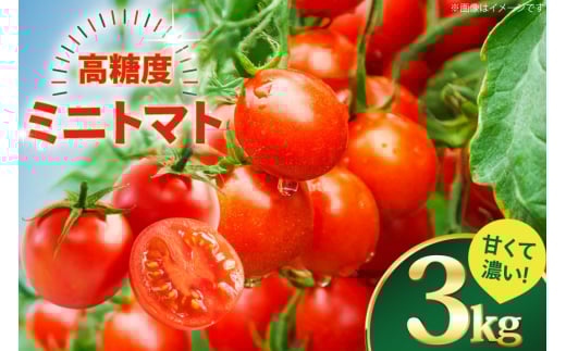 ミニトマト 高糖度 【甘くて濃い】 ミニトマト 3kg [山口製茶 長崎県 東彼杵町 hs42bag310000] 甘い 濃い エコ スイート 単為結果性 自然着果