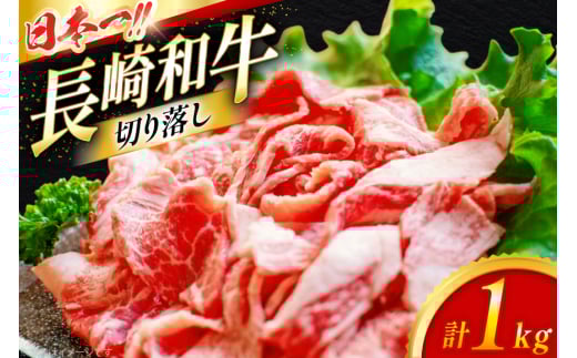 牛肉 切り落とし 長崎和牛 切り落し 1kg [大川ストアー 長崎県 東彼杵町 hs42bag580003] 肉 牛肉 1kg すき焼き