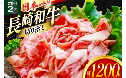 牛肉 切り落とし 定期便 長崎和牛 切り落し600g 2回 総計1200g [大川ストアー 長崎県 東彼杵町 hs42bag580011] 肉 牛肉 和牛 焼肉