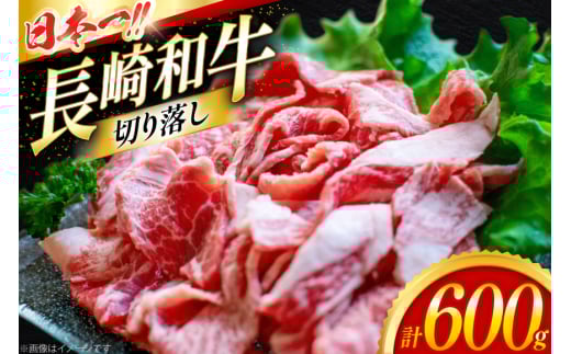 牛肉 切り落とし 長崎和牛 切り落し600g [大川ストアー 長崎県 東彼杵町 hs42bag580012] 肉 牛肉 和牛 焼肉