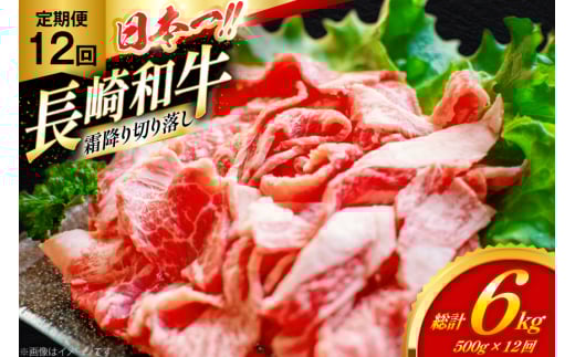 和牛 切り落とし 霜降り肉 定期便 長崎和牛 切り落し 500g 12回 総計6kg [大川ストアー 長崎県 東彼杵町 hs42bag580074] 赤身 すき焼き 肉 しゃぶしゃぶ 牛肉