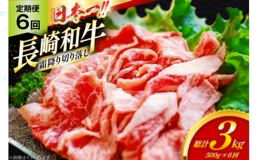 和牛 切り落とし 霜降り肉 定期便 長崎和牛 切り落し 500g 6回 総計3kg [大川ストアー 長崎県 東彼杵町 hs42bag580075] 赤身 すき焼き 肉 しゃぶしゃぶ 牛肉
