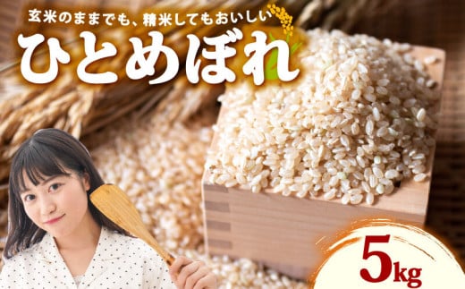 米 ひとめぼれ 新米 玄米 5kg お米 健康 ダイエット 米 日常 食卓 家庭用 ヒトメボレ 静岡県 牧之原市 もちもち あまい 食物繊維 ごはん 大石農園 静岡県 牧之原市