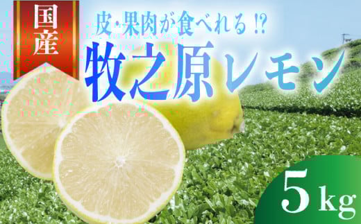 [事前受付]レモン 5kg れもん 檸檬 Lemon 柑橘類 柑橘 フルーツ 果物 酸っぱい 果肉 酸味 甘み 璃の香 防腐剤不使用 牧之原レモン 静岡県 牧之原市