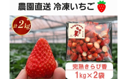 冷凍 いちご 2kg 選べる 容量 苺 完熟 きらぴ香 いちご 冷凍いちご きらぴ香 果物 スイーツ いちご デザート フルーツ スイーツ アイス ジャム シャーベット ベリー 氷菓 冷凍 甘い 贈答 ギフト プレゼント 萩埜園 牧之原市 静岡 県