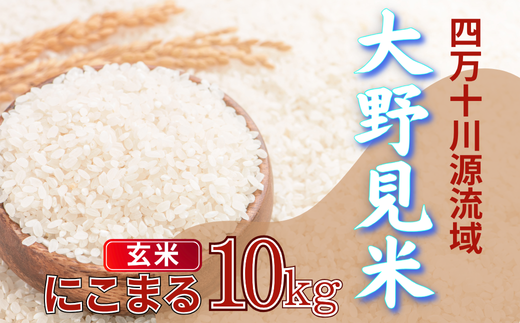 大野見米 にこまる 10kg ( 玄米 ) ご飯 米 お米 にこまる 四万十 高知産