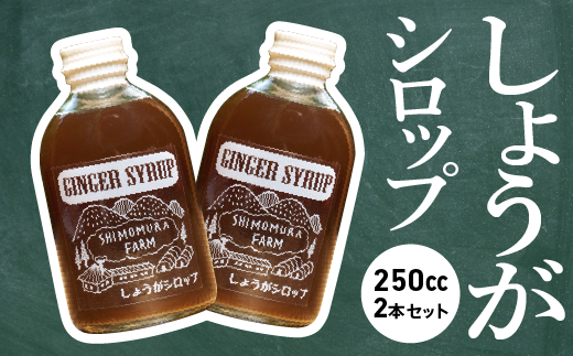 【 農家手作り 】 中土佐町産 しょうがシロップ 2本セット レシピ付き しょうが 生姜 農薬不使用 ジンジャーシロップ ジンジャーエール おすすめ 高知県