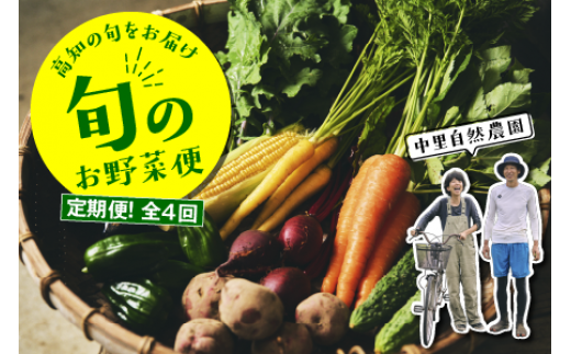 【定期便全4回】高知の旬をお届け「中里自然農園・旬のお野菜便」